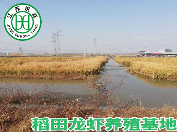 塘口養(yǎng)殖基地